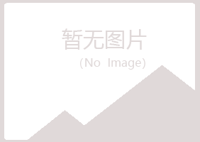 五河县白山冶炼有限公司